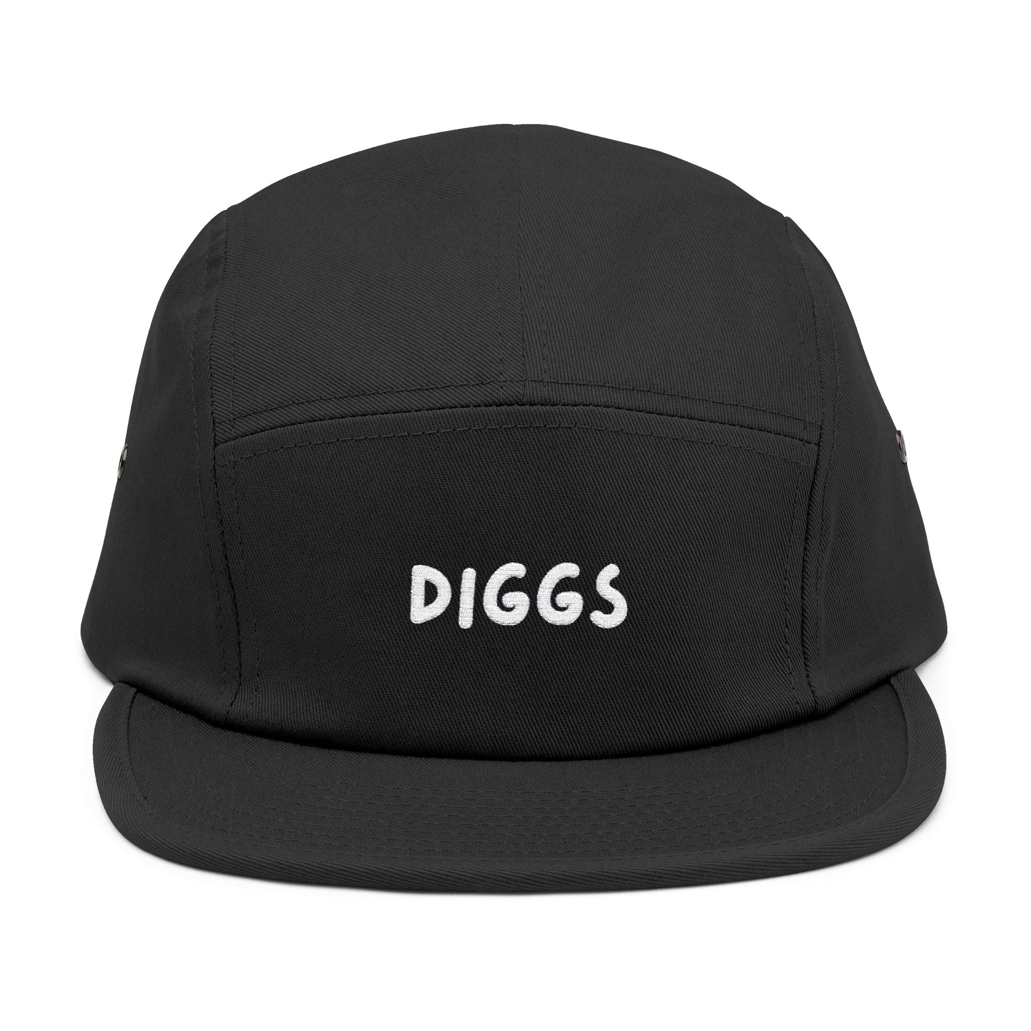 Diggs Panel Cap