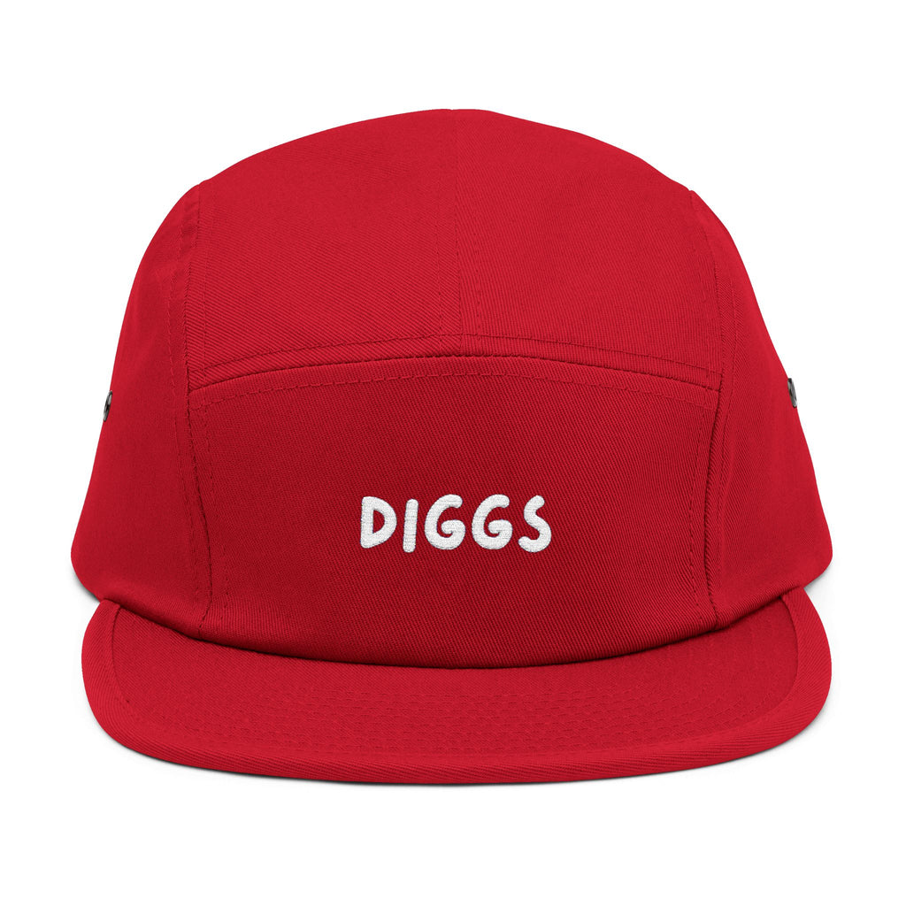 Diggs Panel Cap