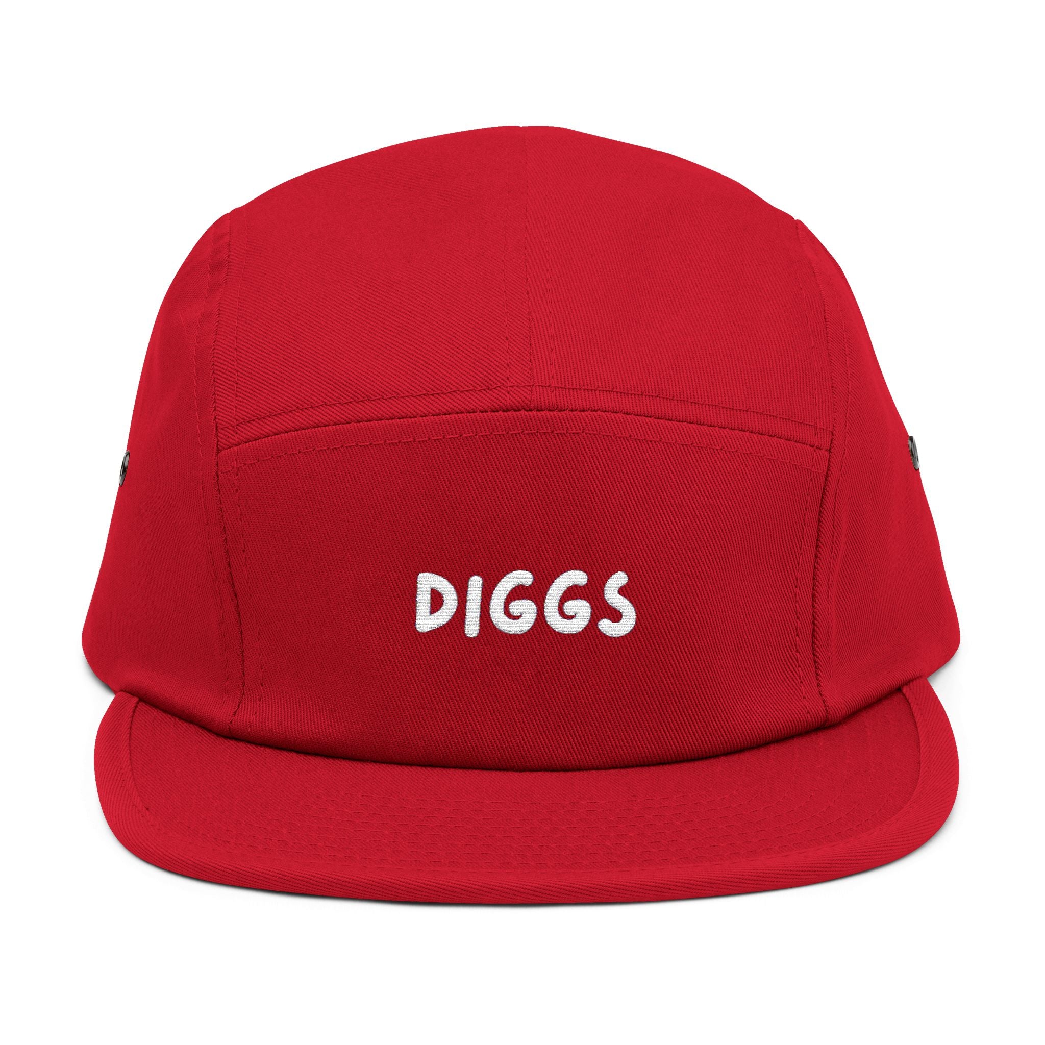 Diggs Panel Cap