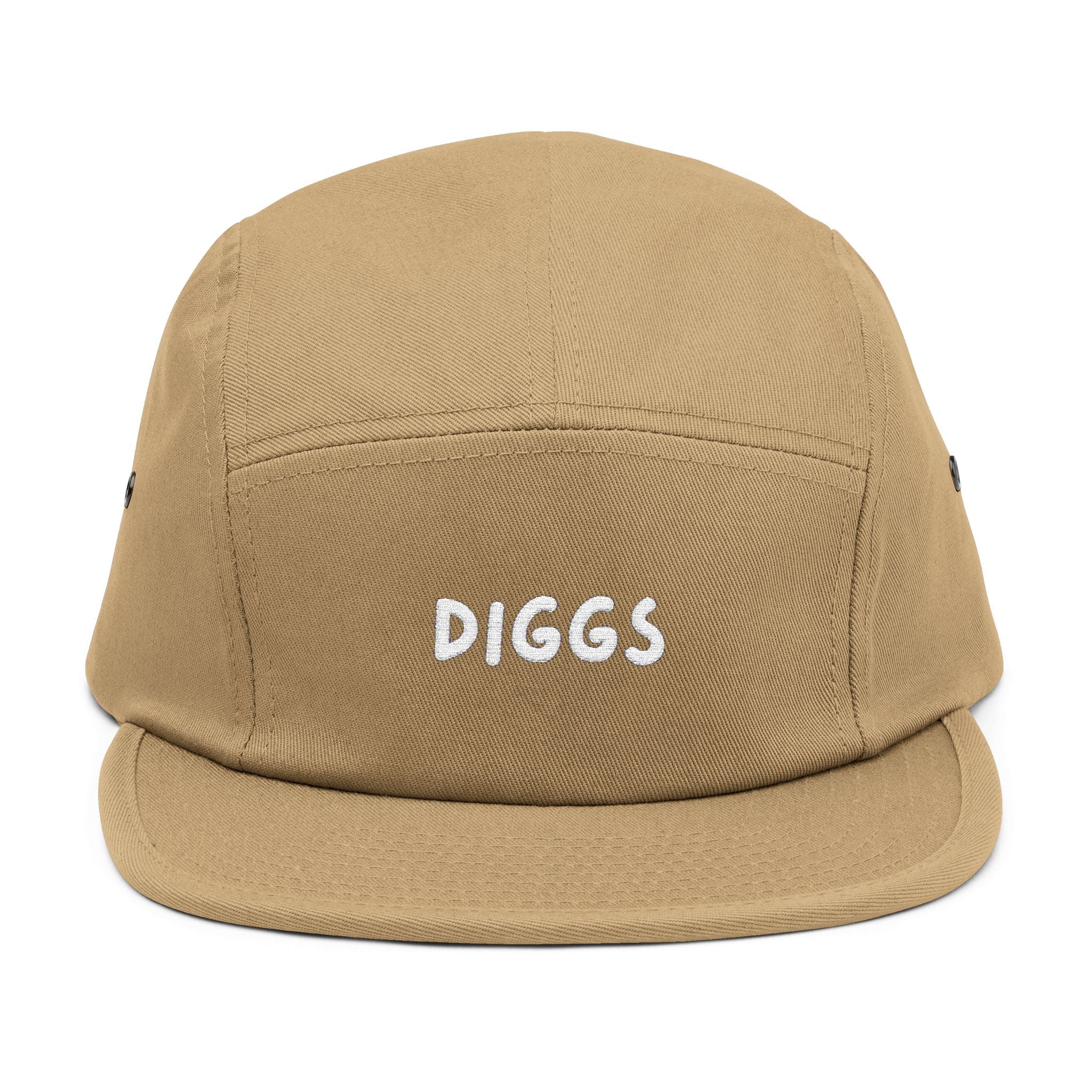 Diggs Panel Cap