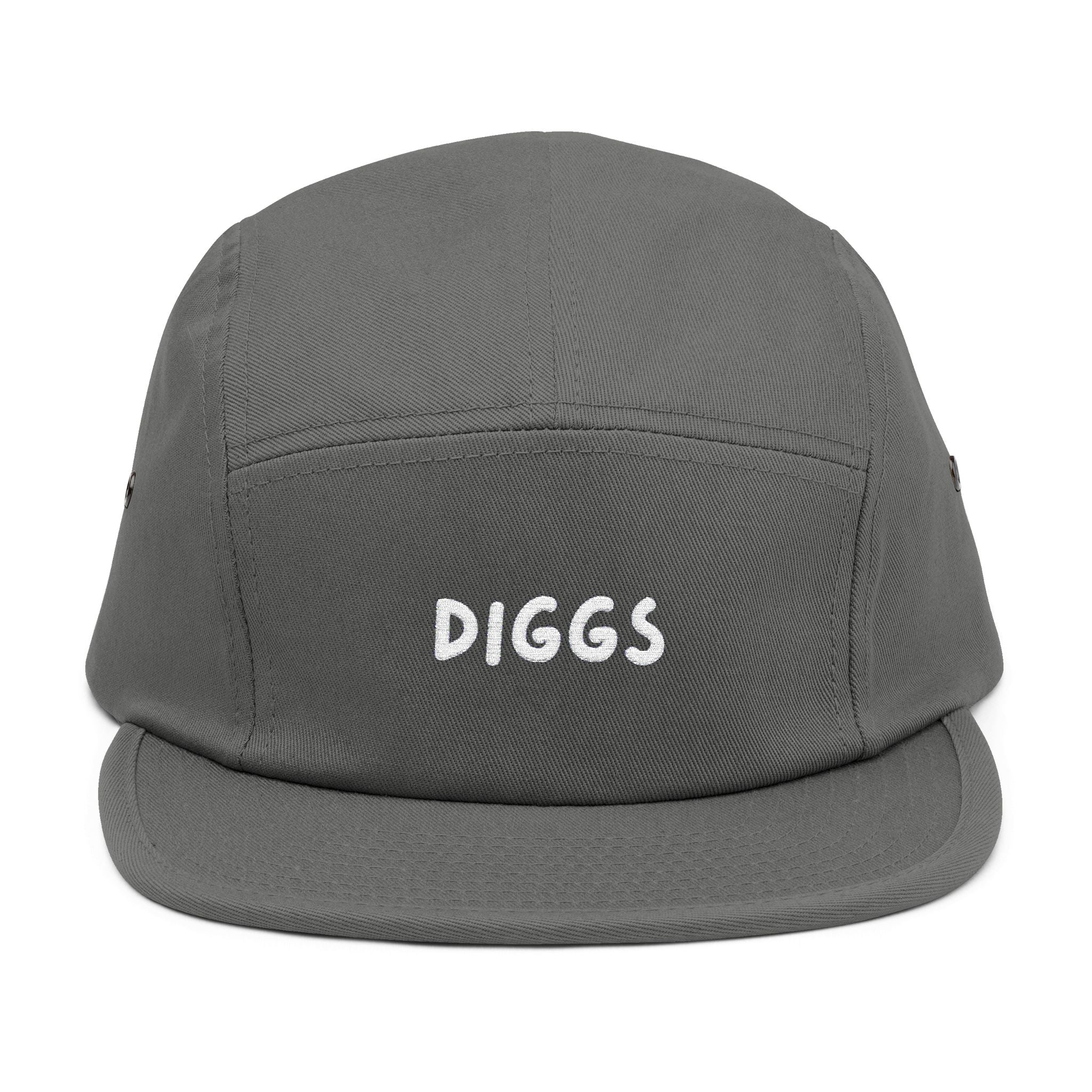 Diggs Panel Cap