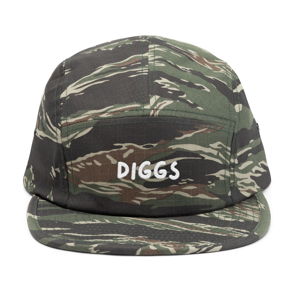 Diggs Panel Cap