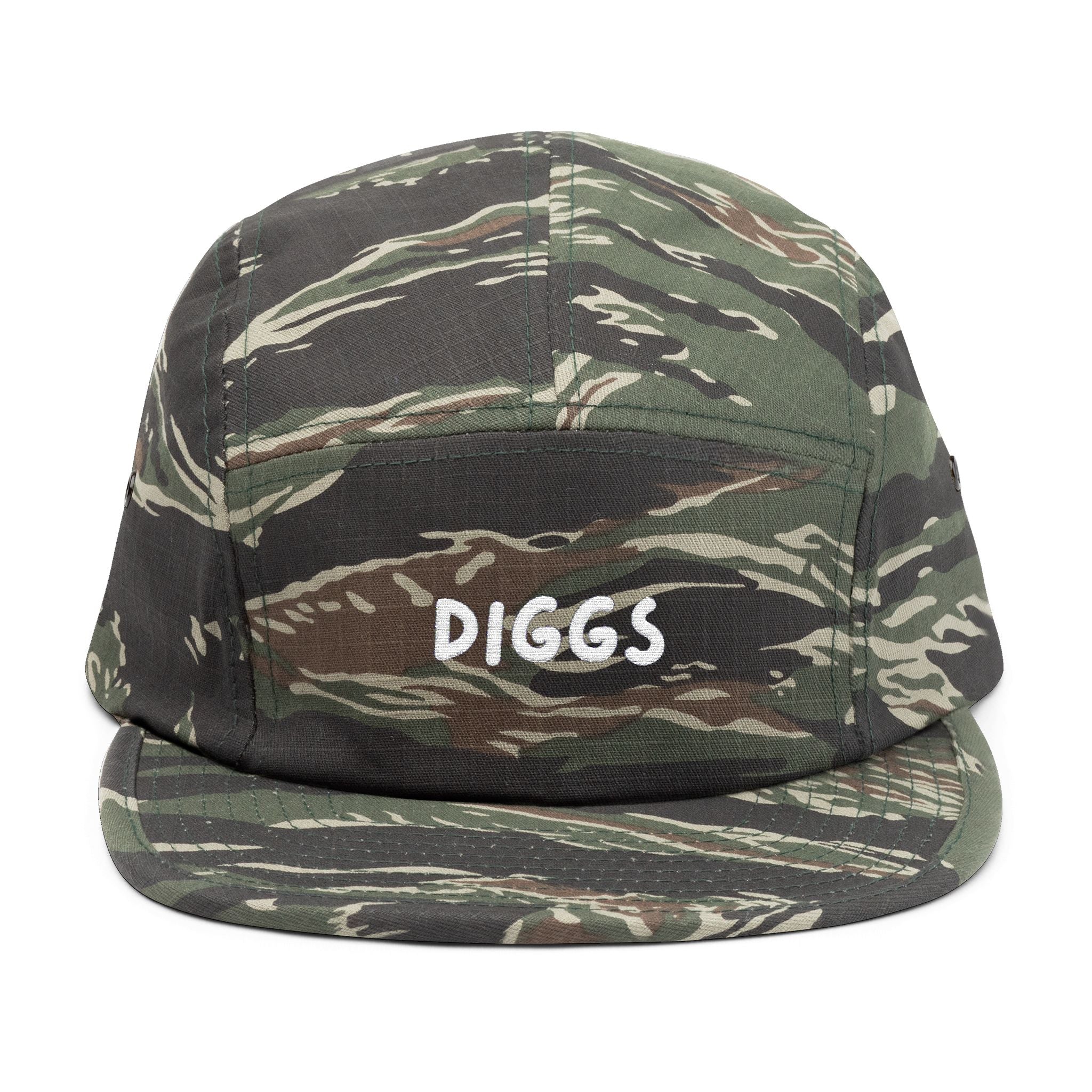 Diggs Panel Cap
