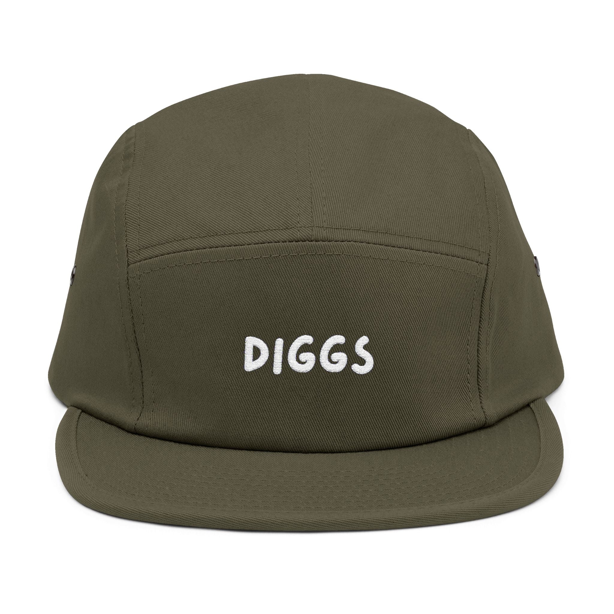 Diggs Panel Cap