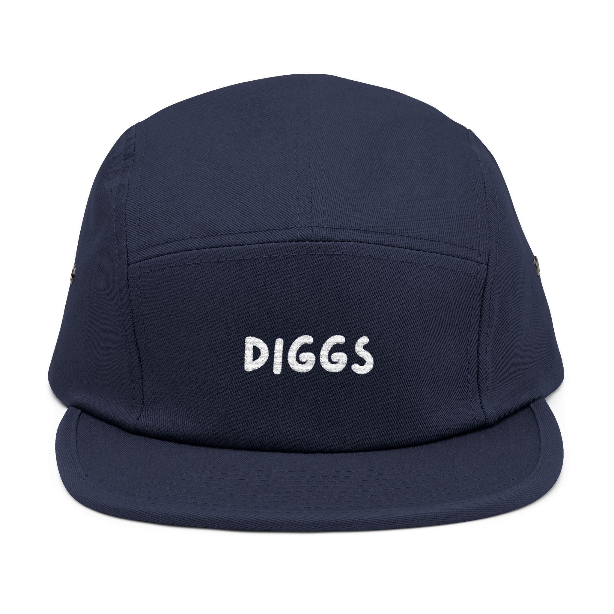 Diggs Panel Cap